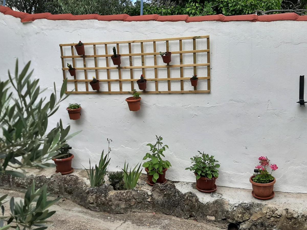 Casa Rural "Eccehomo De Borja" Ngoại thất bức ảnh